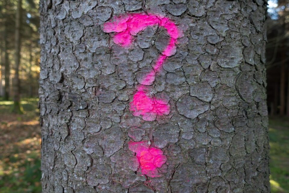 Жалба срещу съседи